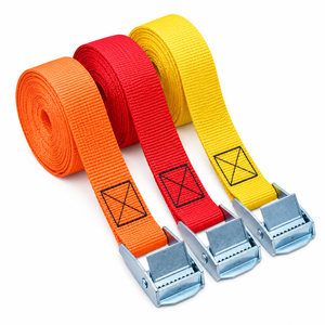 Sangle d'arrimage à boucle à came haute résistance 25 mm, crochet en polyester 250 kg pour transport de marchandises, fournisseur OEM - Product Image 1