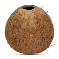 Coques de noix de coco concassées de qualité supérieure, écologiques, 3-6 cm, durables, multi-usages, matière première, Belgique