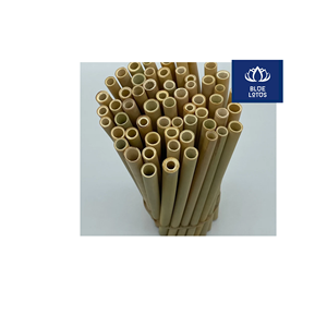 Pailles en bambou écologiques de qualité supérieure, sûres et propres, 100% végétales, idéales pour servir des boissons froides et des jus. Fournisseur. - Product Image 1