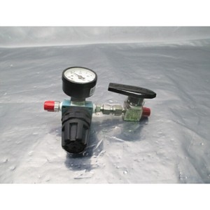 Régulateur Dixon avec manomètre USG, vanne à boisseau sphérique SS-43S4 - Équipements et pièces semi-conductrices de renommée mondiale - Product Image 2