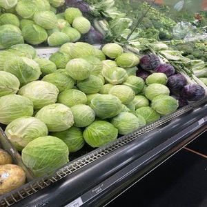 Repollo Verde Orgánico al por Mayor, 25 kg, Venta Directa de Fábrica, Cosecha Fresca Premium para Sauerkraut y Ensaladas - Product Image 1