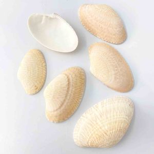 Conchas marinas planas para hacer joyería y manualidades, conchas limpias al por mayor, precio más barato, conchas marinas naturales - Product Image 1