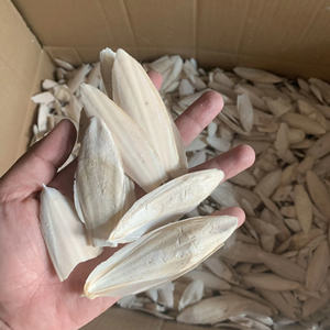 Bloque de Hueso de Sepia en Blíster con Orificios para Aves, Fuente de Calcio, Duradero, Limpio, Empaque Minorista, Proveedor OEM - Product Image 1