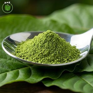 Polvo de Hoja Herbal Tailandesa MIT de Calidad Premium, Favorito de los Clientes AuE, Pureza del 1.5%, 120 Mesh, Secado al Aire Caliente, Envasado al Vacío - Product Image 4