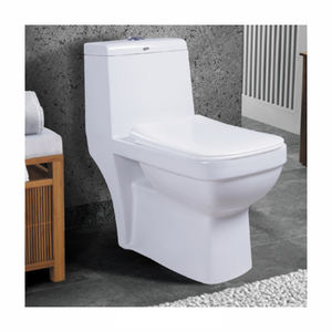 Inodoro de Porcelana de Lujo de Una Pieza, Montado en la Pared, con Forma de Tazón, Drenaje en Forma de P, Artículos Sanitarios para Interiores, Diseño de Baño, Doble Descarga - Product Image 6