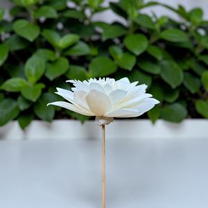 Flores de Madera Sola Dahlia Snow Star Hechas a Mano y Sostenibles de VADEE Craft, Tamaño 8.5 CM, Varilla de Fibra Vegetal de Sesbania, Hecho en Tailandia - Product Image 6
