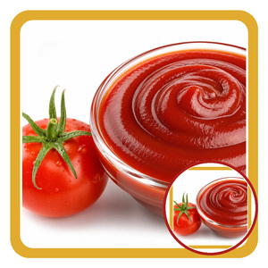 Tasty Hot Sale ISO Certificated Competitive Price Factory In Vietnam Tomato <b>sauce</b> Packed in 2L Bottle - Product Image 3