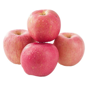 Pommes rouges Fuji fraîches, fruits de pomme sucrés et délicieux, disponibles en gros à prix de gros - Product Image 6