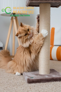 Árbol para Gatos de Fibra de Coco Sostenible, Torre de Escalada para Gatos de Madera Natural, Muebles para Mascotas al por Mayor - Product Image 4