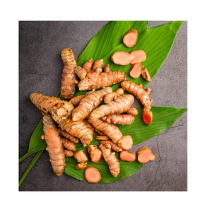 รากขมิ้นบริสุทธิ์สูงสำหรับการผลิตเครื่องเทศทางอาหาร ผลิตภัณฑ์สมุนไพร ส่วนผสมจากธรรมชาติ และจำหน่ายในปริมาณมาก - Product Image 5