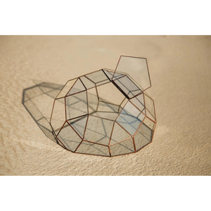 Terrario de Acero Inoxidable Sostenible con Marco Metálico y Vidrio, Forma Única, Acabado Dorado, Decoración para Plantas de Interior - Product Image 4