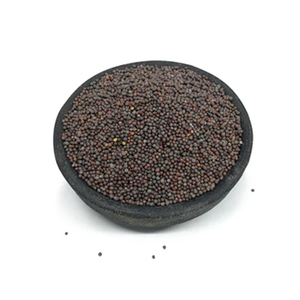 Graines de moutarde noire entières séchées, épice brute, qualité alimentaire naturelle, herbe unique, forme ronde, haute qualité, fournisseur en vrac pour l'exportation - Product Image 4