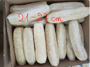 BEST PRICE 100% <b>NATURAL</b> RAW LOOFAH <b>SPONGE</b> BRUSH for BODY EXFOLIATING VIETNAM VIETDELTA Whole Sales - Product Image 6