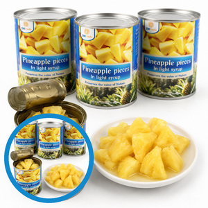 Piña en Rodajas en Almíbar Ligero de la Mejor Calidad, Deliciosa, en Venta, Suministro a Granel de Fabricante Vietnamita - Product Image 4