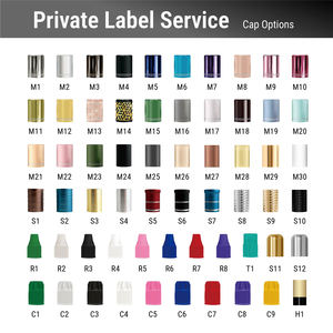 Para Distribuidor Exclusivo de JOVISA, Pegamento para Extensiones de Pestañas de Gel, Tamaño del Paquete 30X20X10cm, para Maquilladores Profesionales - Product Image 4