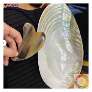 Plat en forme de coquille de nacre, style côtier, pour comptoirs de salle de bain, chambres d'hôtes et intérieurs de complexes hôteliers - Product Image 3