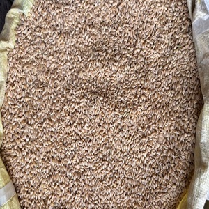 Grano de Trigo de Primera Calidad para Consumo Humano, Trigo Integral Natural, 12 Meses de Vida Útil, Utter Pradesh, para una Alimentación Saludable - Product Image 3