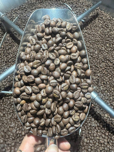 เมล็ดกาแฟอาราบิก้าคุณภาพสูง ผสมผสานจากเมล็ดกาแฟออร์แกนิกปลอดสาร GMO เกรด GCB26 ผลิตจากเวียดนาม สำหรับเครื่องชงกาแฟอัตโนมัติ คั่วแบบออยลี่ - Product Image 6
