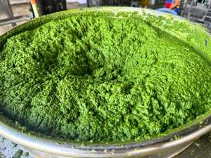 สินค้าขายดีประจำปี 2025 ผลิตภัณฑ์ส่งออกเวียดนาม ใบมันสำปะหลังแช่แข็ง รุ่นใหม่ คุณภาพสูง ราคาแข่งขัน/ คุณเซลิน่า - Product Image 3