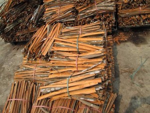 Canela de Cáscara de Canela (Cassia) de Vietnam, Precio al por Mayor - Product Image 6