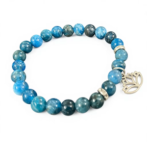 Bracelet en apatite naturelle pour femmes |   Bracelet extensible en perles de cristal de guérison, énergie spirituelle, bijoux de yoga, cadeau |   Grossiste - Product Image 1