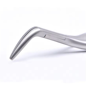 Instrumento Quirúrgico Manual para Extracción Dental, Pinzas Dentales Quirúrgicas Orales de Primera Calidad, Certificación CE Clase I, Plata - Product Image 6