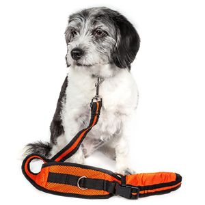 Guinzaglio e Cintura per Addestramento Cani 2-in-1 Echelon Convertibile con Tasca, Mani Libere per un Addestramento Facile - Product Image 6