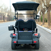 Nouvelle voiturette utilitaire électrique à deux places, homologuée pour la route, chariot de golf, bus et voiture de tourisme