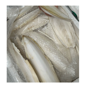 Alimento Premium de Hueso de Sepia para Aves, Ideal para Periquitos, Cacatúas, Agapornis y Loros Pequeños - Product Image 5