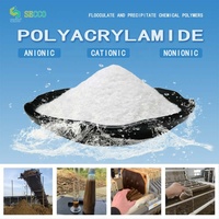Poliacrilamida Aniónica y Catiónica (PAM) SECCO en Polvo, Floculante para Tratamiento de Agua, Certificado ISO9001, 100% Pureza, Alta Calidad