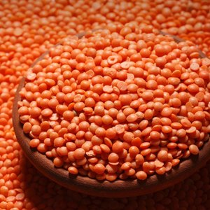 Wholesale Premium Red Lentils for Food Processing Natural Dried Lentils Bulk Supply High Quality Export Grade - Product Image 4