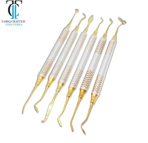 Kit de Instrumentos Dentales de Acero Inoxidable para Restauración, Herramientas de Relleno Autoclavables con Certificación CE - Product Image 1