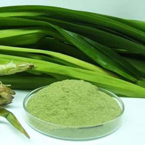 Polvo de Hoja de Pandan Vietdelta, Color Natural, Fragancia para Postres, Desodorante para Cocina, 10 kg, PE/Cartón, 12-18 Meses de Duración - Product Image 1