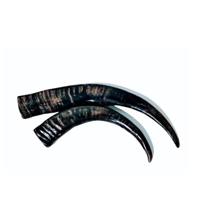 High Quality Water Buffalo <b>Decorative</b> Horn Pair Black Color Top Quality Affordable Price Houseware Horn <b>Decorative</b> - Product Image 1