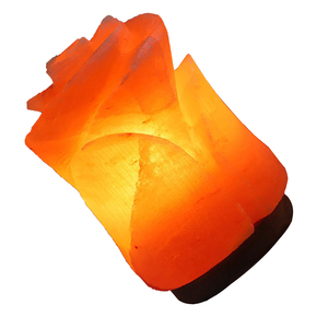 Lámpara de Sal Rosa del Himalaya, Decoración para el Hogar, Proveedor Mayorista, Servicio de Exportación Rápida - Product Image 4
