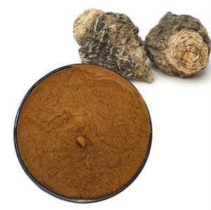 Poudre de racine de maca noire de qualité supérieure, poudre de racine de maca noire de qualité alimentaire, poudre botanique finement moulue pour les boissons et les applications alimentaires - Product Image 5