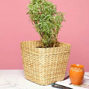 Great price eco friendly planter <b>cheap</b> cost plant decor holder <b>basket</b> water hyacinth planters - Product Image 1
