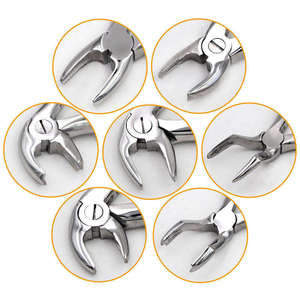 Hot Sale Extra-Strength German Stainless Steel Extracting Forceps Manual CE Certified Oral Dental Surgery Dentavex Ergonomic - Product Image 4