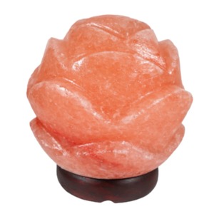 Lampe de sel en forme de rose de l'Himalaya Sian Enterprises, sculptée à la main, matériau organique, écologique, Feng Shui, lumière chaude - Product Image 6