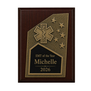 Plaque de récompense en métal personnalisée pour événement, souvenir de l'année - Product Image 6