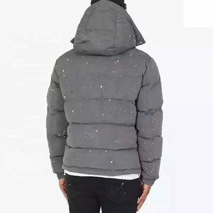 Blouson matelassé gris à capuche pour homme, coupe-vent, fermeture éclair, col montant, manteau d'hiver décontracté, garnissage épais en duvet, extérieur en polyester 2026 - Product Image 2