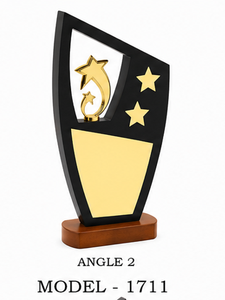 Trophée en bois gravé au laser de luxe, récompenses d'entreprise pour la reconnaissance des employés, programmes de reconnaissance des réalisations professionnelles - Product Image 6