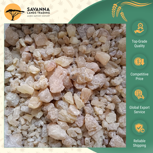 Fournisseur réputé vendant du gomme copal de qualité supérieure (PWS, DBB, WS, Dust Grade) avec option d'emballage personnalisé en vrac - Product Image 6