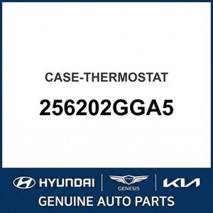 Grandeur/Azera Nuevos Termostatos y Carcasas 256202GGA5 - Product Image 1