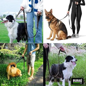 Double Handle Reflective <b>Dog</b> <b>Leash</b> OEM ODM Custom Logo Heavy Duty Nylon Pet Walking <b>Leash</b> Direct Manufacturer - Product Image 5