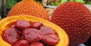 Fruta Gac Congelada para Mermelada de Arroz Pegajoso, Alimento para Bebés, Colorante Natural y Procesamiento con Aceite, Bolsa de 1 kg, Caja de 10 kg, Viet Delta, 24 Meses - Product Image 5