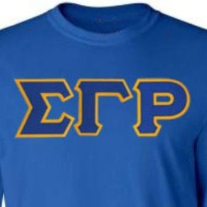 Camiseta de Manga Larga con Letras Blue Sigma Gamma Rho para Mujer, Camiseta Casual con Cuello Redondo para Hermandad Griega, Ropa Universitaria con Estampado Personalizado - Product Image 3