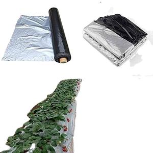 Listo Stock 25 Micron Plata Negro PE Mulch Película UV Protegido Agricultura Producto en Rollos - Product Image 1