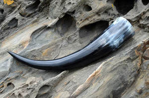 Cuerno para Beber de Oso con Acabado Natural en Color de Cuerno Natural, Estilo Animal, Técnica Pulida, Hecho a Mano, Ecológico, Regalo Empresarial - Product Image 5