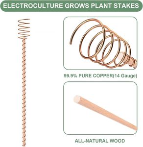 Varillas de Cobre Natural de Alta Calidad para Cultivo Electrolítico, Potenciador de Energía del Suelo para Plantas, Herramientas Orgánicas para Jardinería y Agricultura - Product Image 5